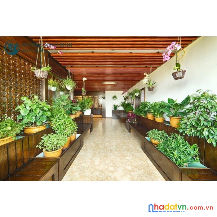 Bán nhà phố trần hưng đạo, nhà dòng tiền, 9 tầng thang máy, doanh thu 2 tỷ/năm.