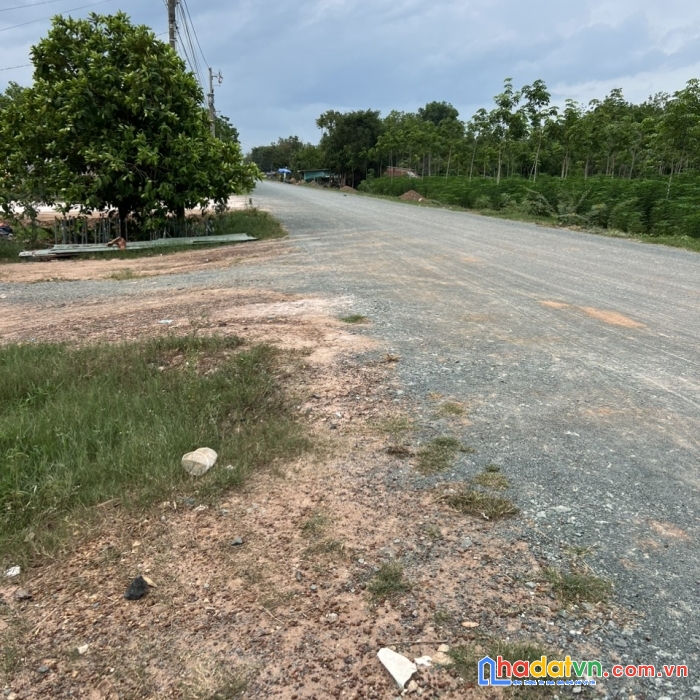 Chính chủ cần tiền gấp bán gấp lô đất 2 mặt tiền đường đt 795, đã có sổ 713,2m2