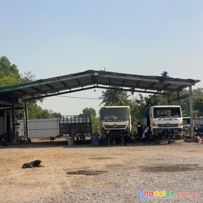 Bán nhà và vườn mai gần đường trần đại nghĩa, xã tân nhựt, huyện bình chánh.