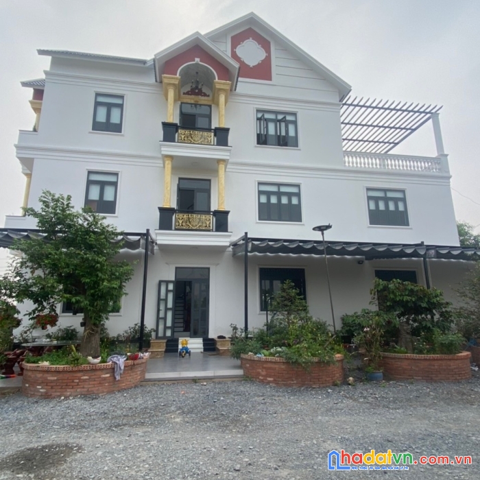 Bán nhà và vườn mai gần đường trần đại nghĩa, xã tân nhựt, huyện bình chánh.