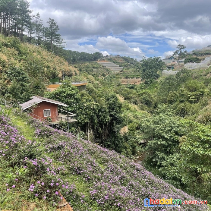 ( view đẹp ) chủ gửi bán gấp căn nhà xinh xắn view đẹp tại trại mát, đà lạt 1000m2 giá 4.5 tỷ