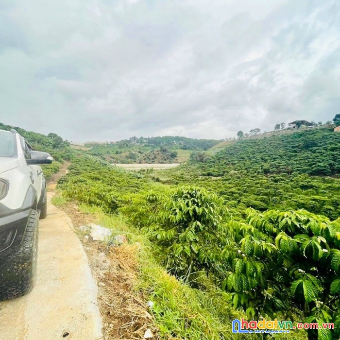 ( sos sos ) giảm kịch sàn bán gấp lô đất rộng view đẹp tại tà nung, đà lạt 2514m2 giá 6.25 tỷ ->