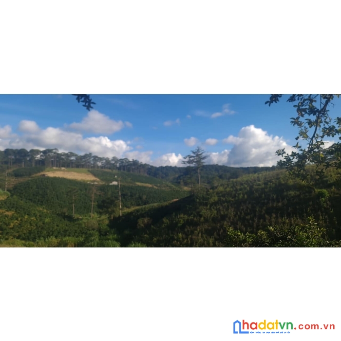 Ngộppppp.... giảm giá bán gấp đất rộng view đẹp đầu xuân trường, đà lạt 1000m2 giá chỉ 2.65 tỷ
