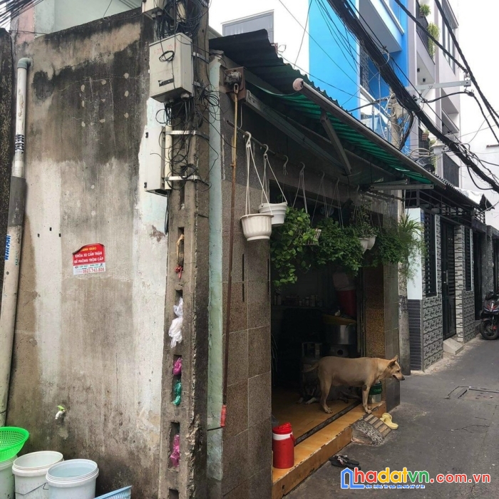 Bán nhà rẻ cấp 4 q4 đoàn văn bơ ngang 4x 12.75m hơn 3 tỷ