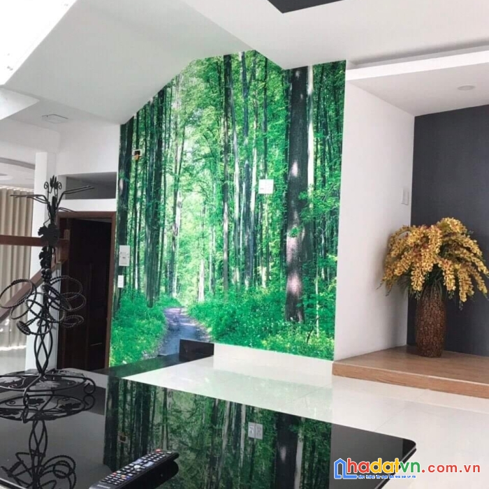 Bán nhà biệt thự phố lãnh binh thăng quận 11, ngang 5.6m, dtsd 301 m2, nhĩnh 11 tỷ.