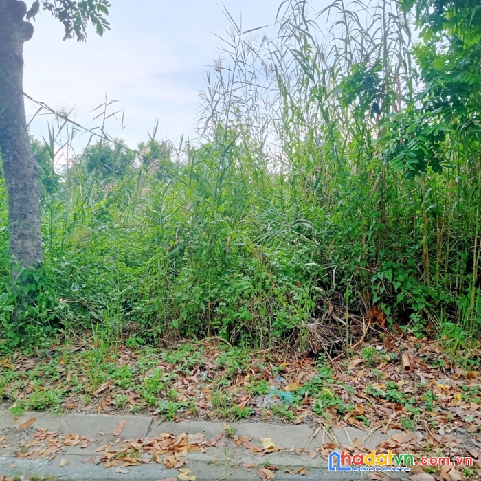 Bán lô đất đường 3b - 12m kdc geenlife 13c - giá : 4.5 tỷ (tl)