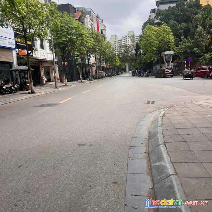 Cực hiếm nhà mặt phố trương công giai, cầu giấy, 137m2, mt 10m, giá 53 tỷ, kinh doanh bất chấp