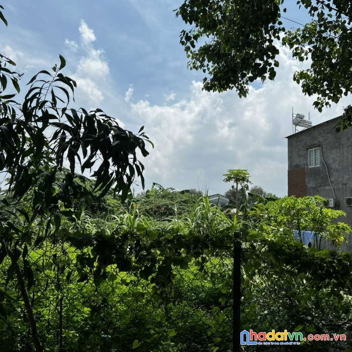 Bán lô đất 527m có thổ cư tại phường hiệp hòa tp biên hòa giá 16 triệu/m