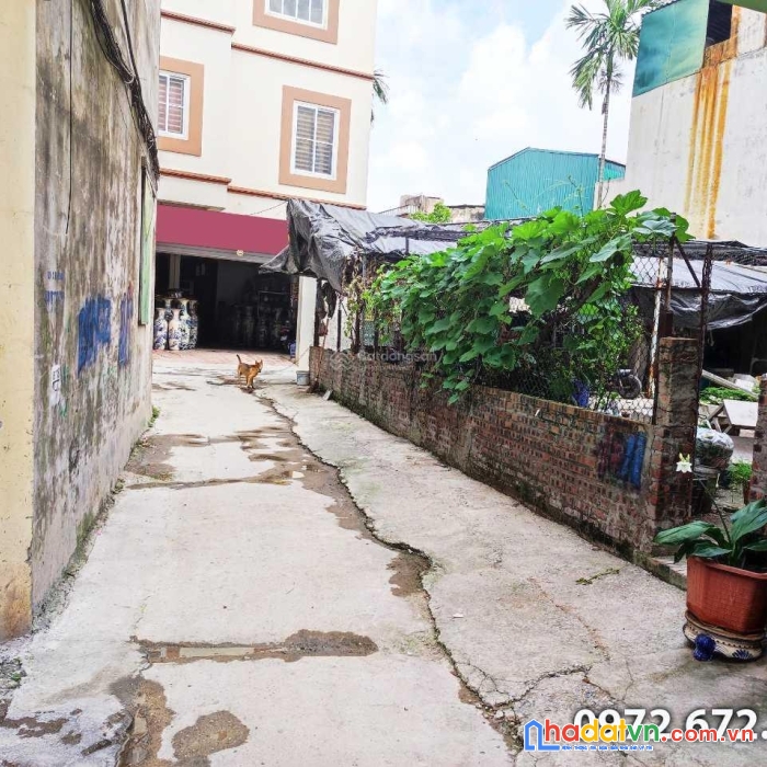 Chính chủ bán mảnh đất tại xóm 5,đường bát tràng, xã bát tràng, gia lâm, hà nội
