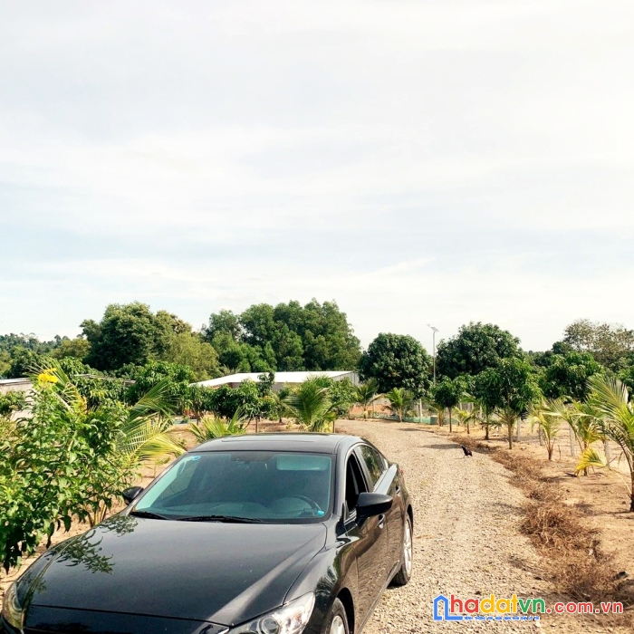 Cần bán 13.623 m² đất vườn cln+ont. đất vườn view suối || xuân lộc - đồng nai.