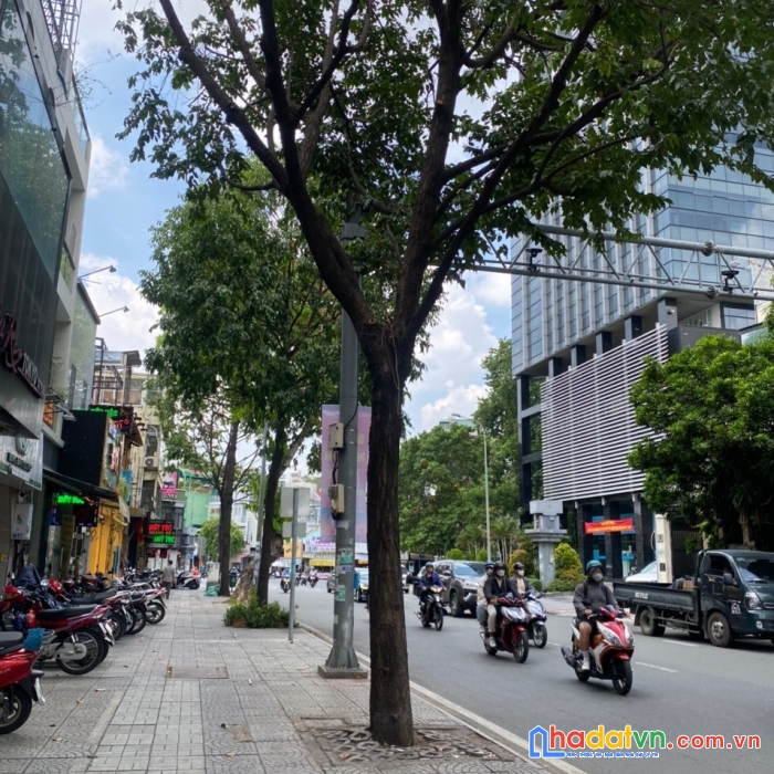 Siêu phẩm mt võ thị sáu, p.tân định, quận 1.