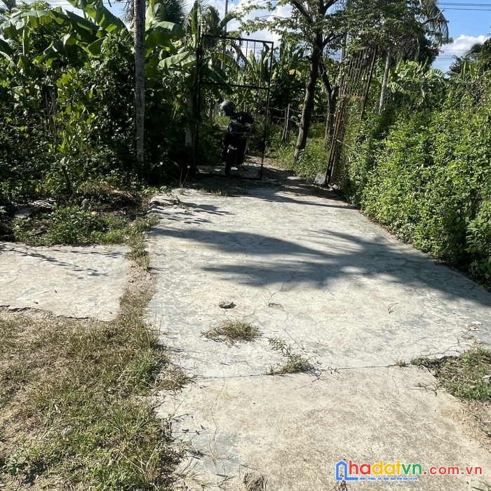 Bán hoặc cho thuê nhà vườn bưởi diên phước chỉ 3,2tr 1m2