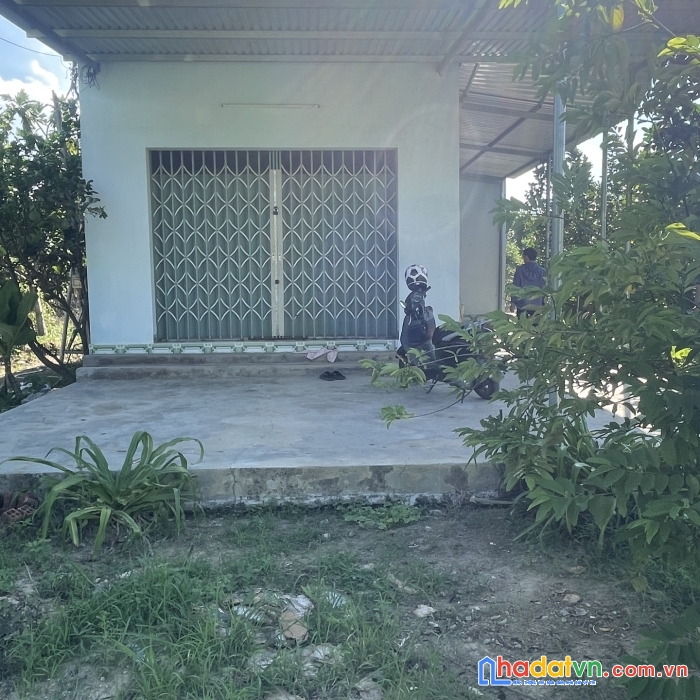 Bán hoặc cho thuê nhà vườn bưởi diên phước chỉ 3,2tr 1m2