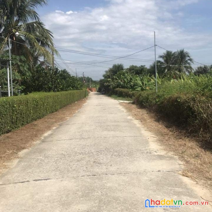 Bán vườn bưởi đang thu hoạch ở suối hiệp góc 2mt đường ôtô