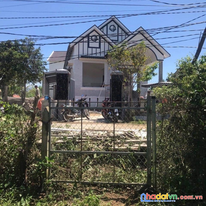 Bán vườn bưởi đang thu hoạch ở suối hiệp góc 2mt đường ôtô