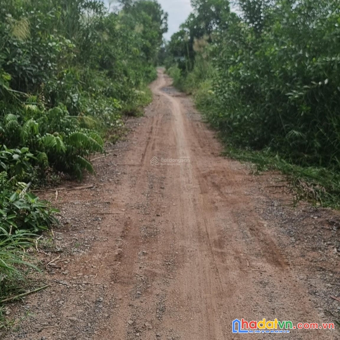 Chủ kẹt tiền bán xả mạnh 1000m2 full thổ cư – thủ thừa long an