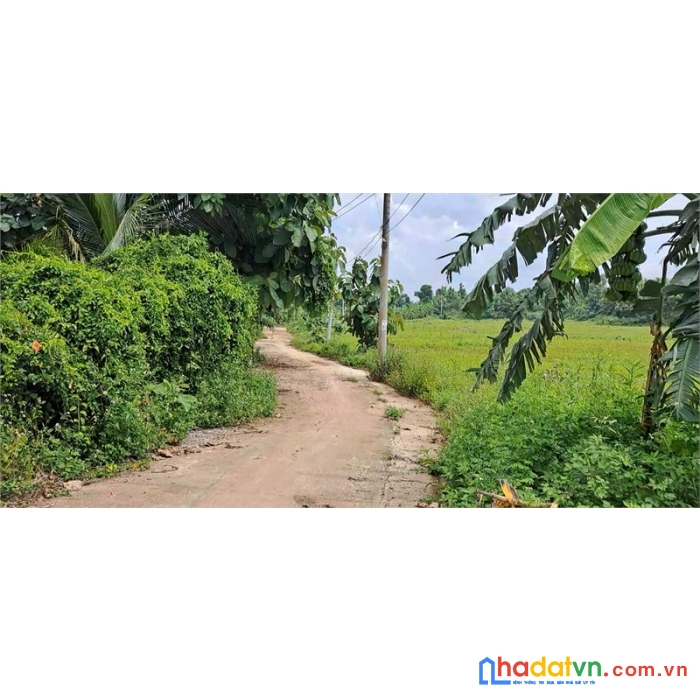 Cần bán 11.3450 m² đất vườn, 2 mặt tiền, cách ql20 300m, ngọc định, đq, đn