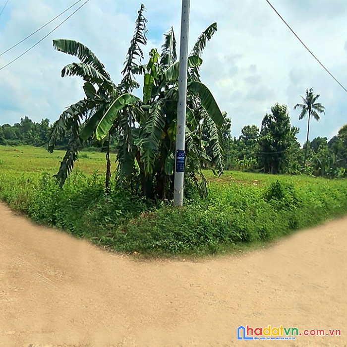 Cần bán 11.3450 m² đất vườn, 2 mặt tiền, cách ql20 300m, ngọc định, đq, đn