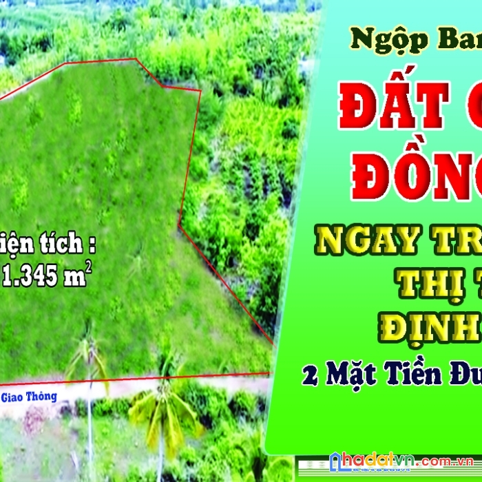 Cần bán 11.3450 m² đất vườn, 2 mặt tiền, cách ql20 300m, ngọc định, đq, đn