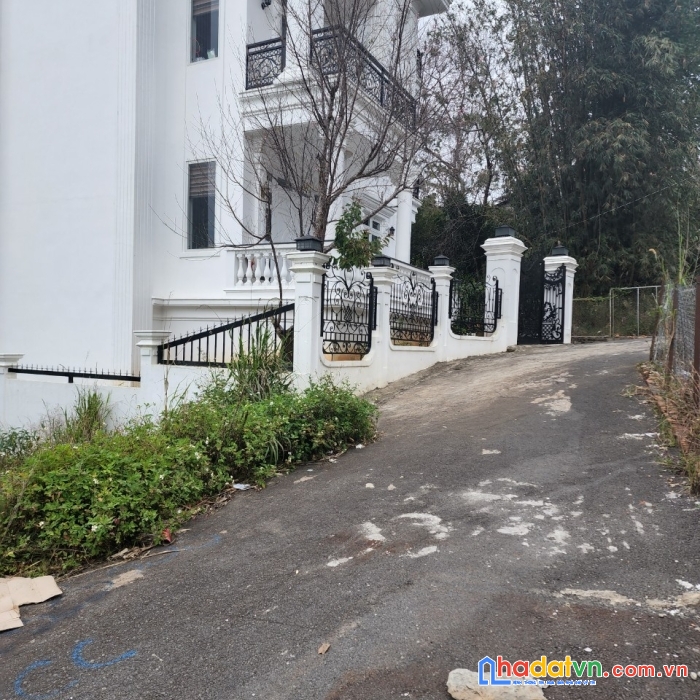 ( loa loa ) cần bán gấp đất nền biệt thự đường vạn hạnh, đà lạt 200m2 giá chỉ 9 tỷ
