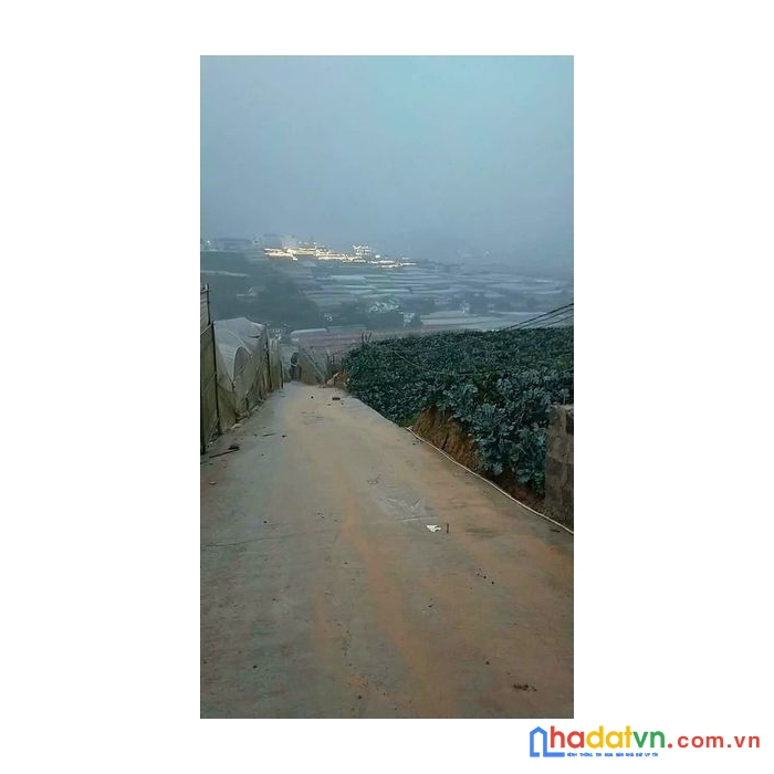 ( gấp quá rồi ) bán gấp lô đất view đẹp đường huỳnh tấn phát, đà lạt 611m2 giá chỉ 2.5 tỷ