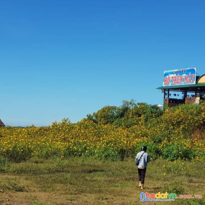 ( gấp quá rồi ) giảm giá bán gấp lô đất mặt tiền tỉnh lộ 725, đầu đèo tà nung, tp.đà lạt 584m2 giá