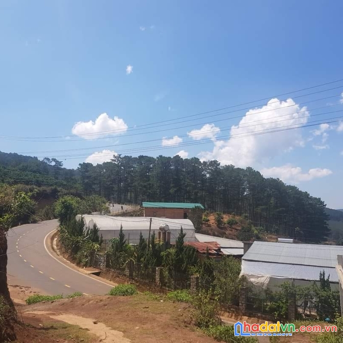 ( gấp quá rồi ) giảm giá bán gấp lô đất mặt tiền tỉnh lộ 725, đầu đèo tà nung, tp.đà lạt 584m2 giá