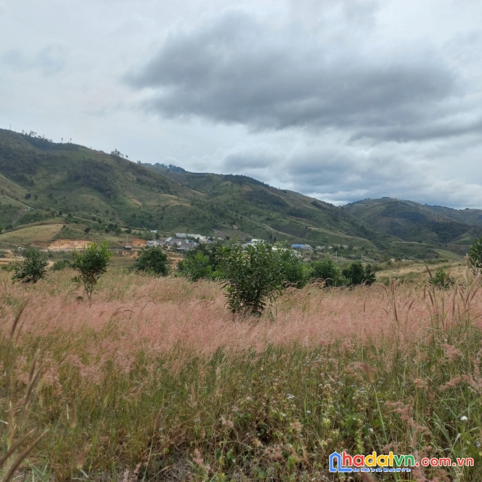 Chính chủ bán  ngộp lô đất mặt tiền xã lát păng tiêng đường 726