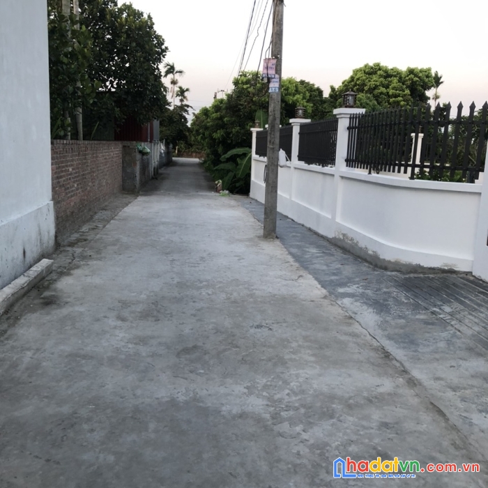 Chính chủ cần bán gấp lô đất tại  trực trang, xã bát trang, huyện an lão, hải phòng.