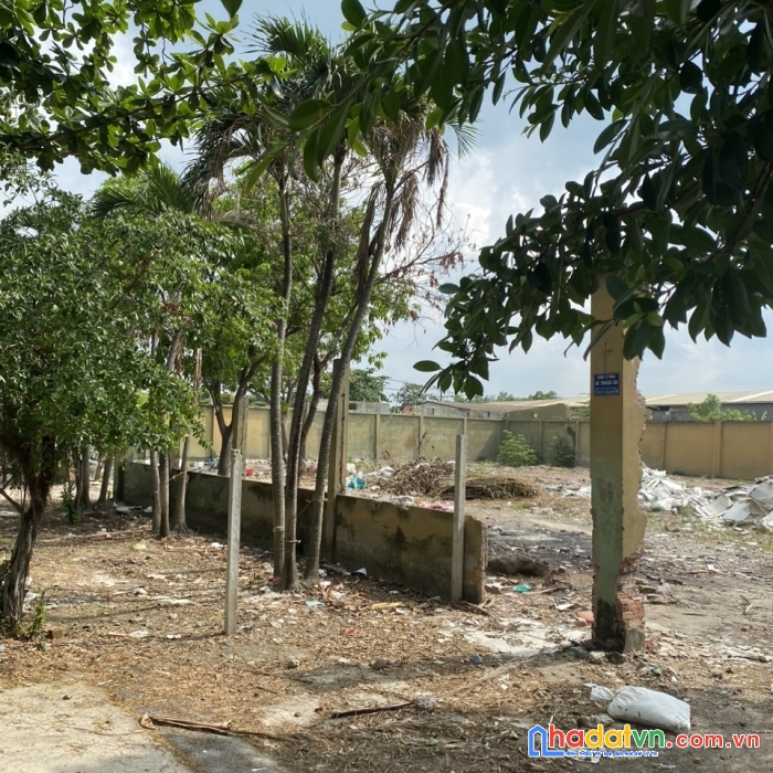 Giá siêu hấp dẫn cho lô đất lớn tân tạo, bình tân ngay tỉnh lộ 10 với 28 tỷ