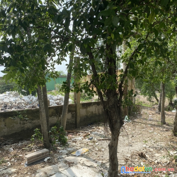 Giá siêu hấp dẫn cho lô đất lớn tân tạo, bình tân ngay tỉnh lộ 10 với 28 tỷ