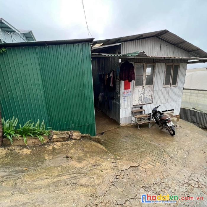 ( loa loa ) bán gấp dãy nhà trọ ngay trung tâm trại mát, p11, đà lạt 400m2