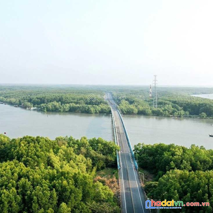 Tôi chính chủ, cần bán lô đất đường xương cá, xã lý nhơn, huyện cần giờ, 2000m2, 4,4 tỷ 0913 858