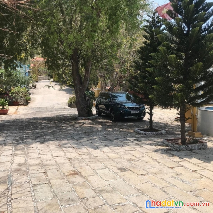 Bđs hiếm, vị trí tuyệt đẹp trên núi cao, view biển toàn bộ tại tp. vũng tàu.