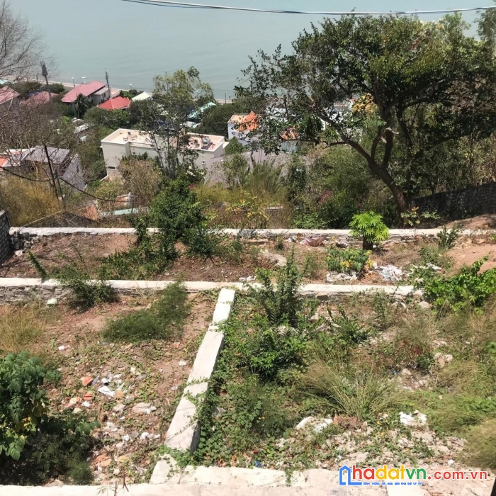 Bđs hiếm, vị trí tuyệt đẹp trên núi cao, view biển toàn bộ tại tp. vũng tàu.