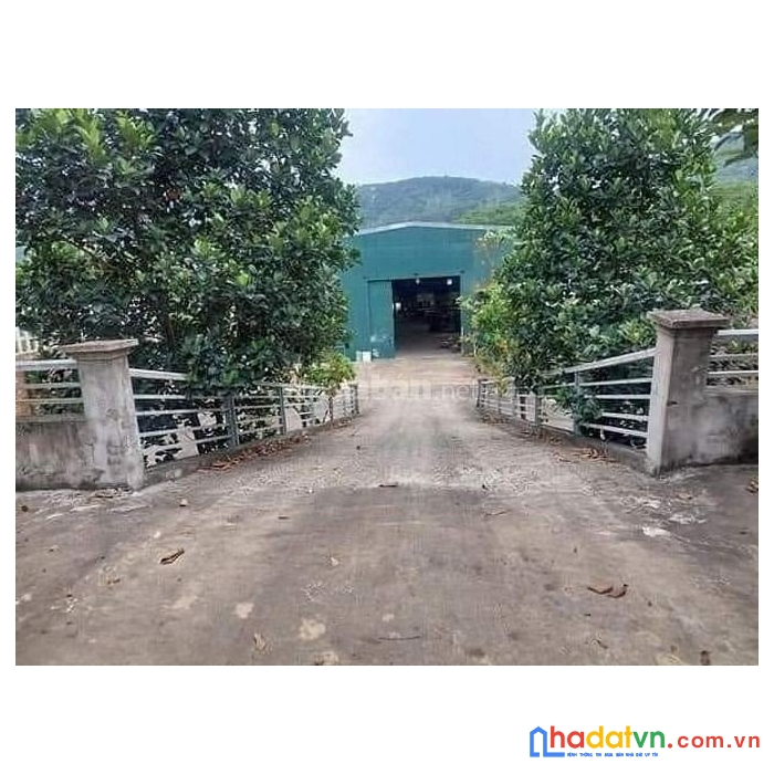 Chính chủ cần bán gấp lô đất cuối đường đại lộ thăng long, xã đông xuân, huyện quốc oai, hà nội.