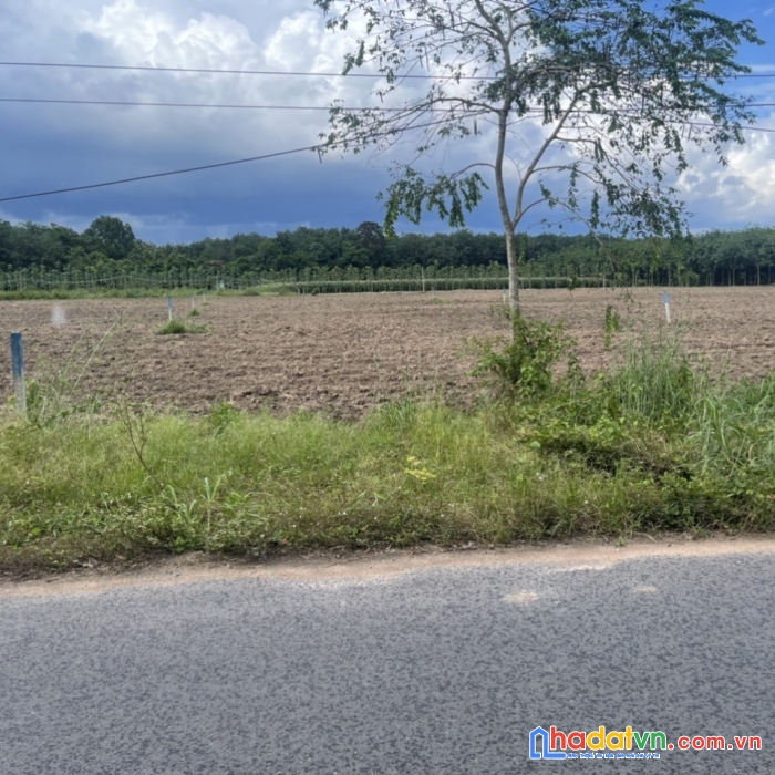 Bán đất phú giáo, mặt tiền đường nhựa 12m