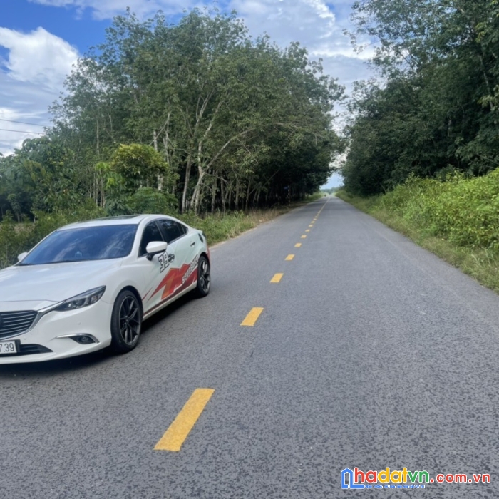 Bán đất phú giáo, mặt tiền đường nhựa 12m