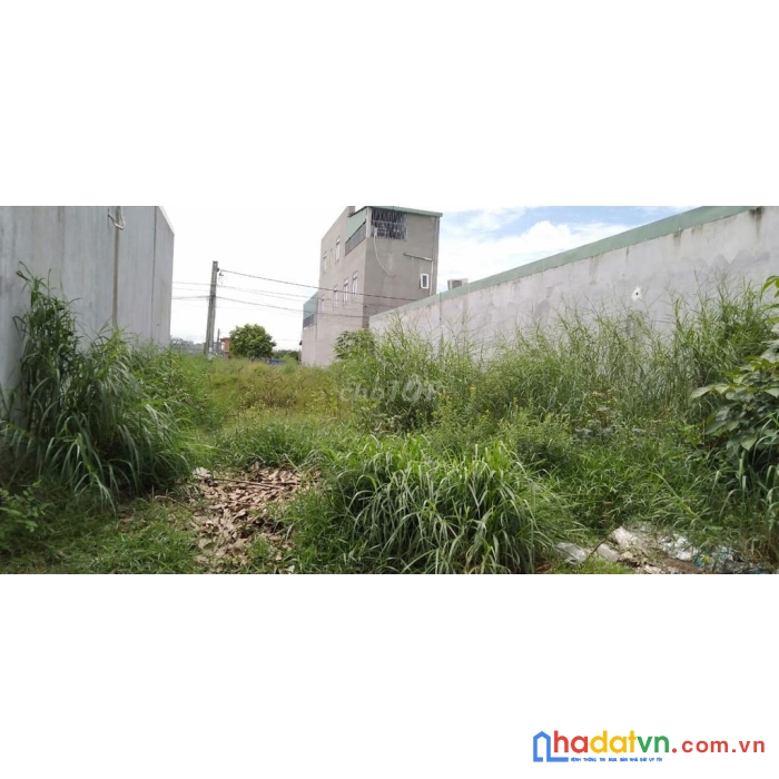 Đất thị trấn tân phú cần bán 10x50 có 200m thổ cư