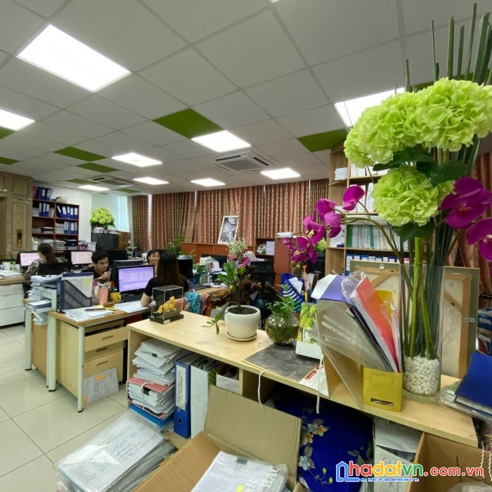 Tòa nhà mặt tiền 8 tầng đang kd sầm uất, thang máy, nguyễn thông, sổ đẹp, gần 100m2, 60 tỷ