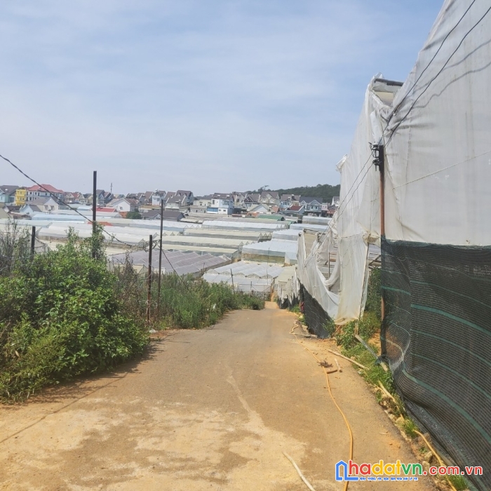 ( giảm kịch sàn ) chỉ 4.4 tỷ - sở hữu ngay lô đất nền biệt thự view thoáng tại p12, đà lạt 206m2