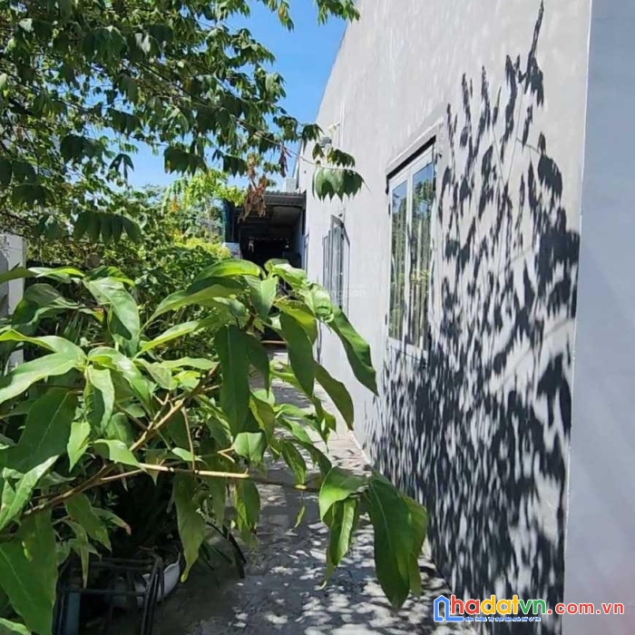 Bán gấp căn nhà diện tích khủng 225m2 kiệt ô tô quận ngũ hành sơn giá rất rẻ chỉ hơn 2 tỷ