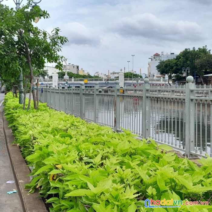 Cần tiền bán gấp nhà nát 99m2 đường lò gốm, p8, quận 6 với 6.1 tỷ