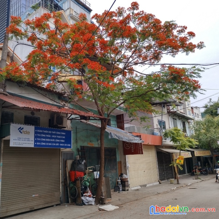 Cần bán gấp nhà nhà số 62 ngõ 156 lạc trung, phường thanh lương, hai bà trưng
