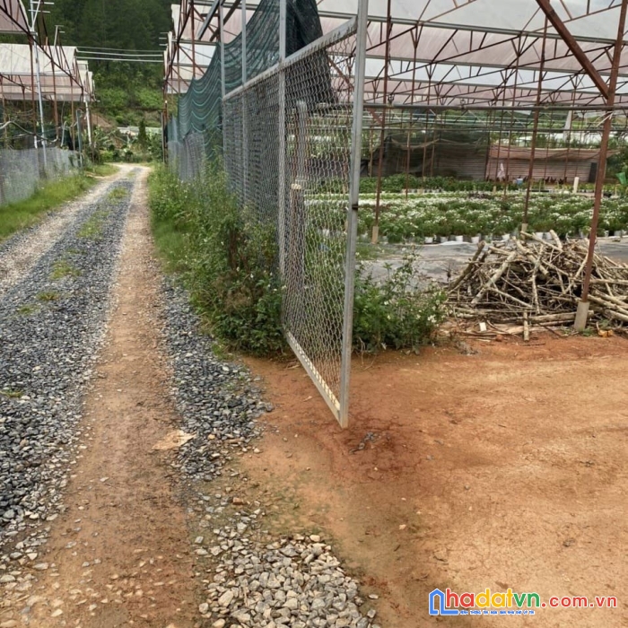 Chuẩn bị đi định cư chủ gửi bán gấp 1538m2 đất đường mimoza, đà lạt giá 4 tr/m2