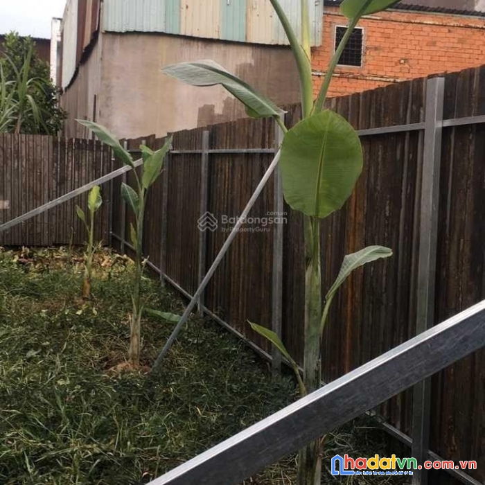 Bán đất vĩnh lộc a, 1 sẹc đường liên ấp 234, dt 4x15m 60m2