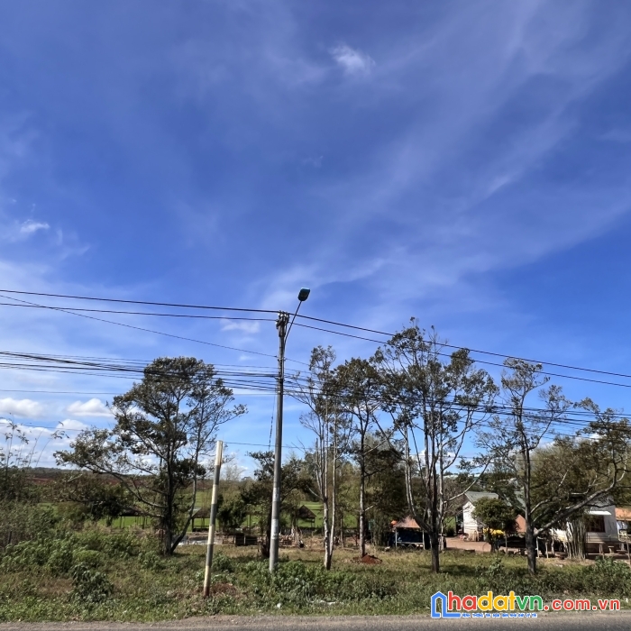 Chính chủ bán nhanh mảnh đất cực đẹp, siêu hiếm giá rẻ tại ngô quyền, xã trà đa, thành phố plei ku