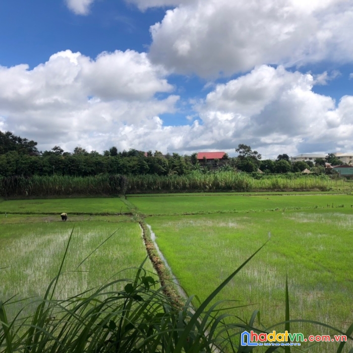 Tôi chính chủ, cần bán gấp mảnh đất phường thắng lợi, thành phố pleiku