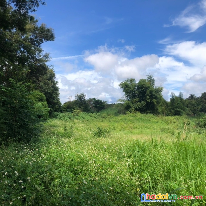 Tôi chính chủ, cần bán gấp mảnh đất phường thắng lợi, thành phố pleiku