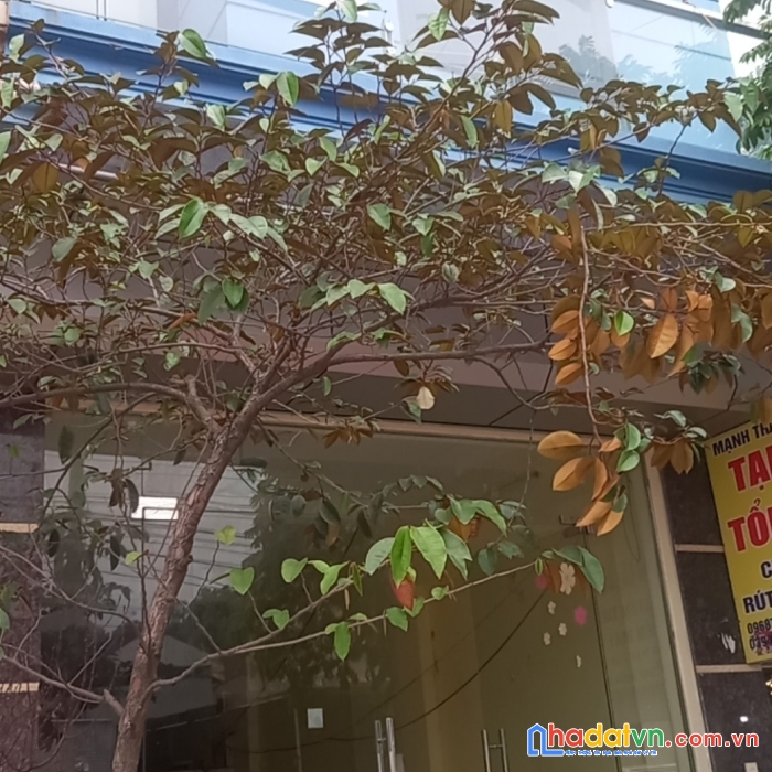 Chính chủ cần cho thuê nhà 3 tầng tại trục chính gần công viên lãm làng, vân dương, vân dương, bắc